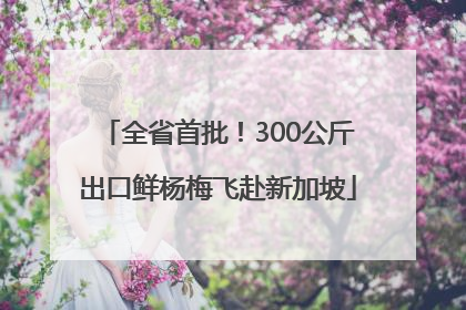 全省首批！300公斤出口鲜杨梅飞赴新加坡